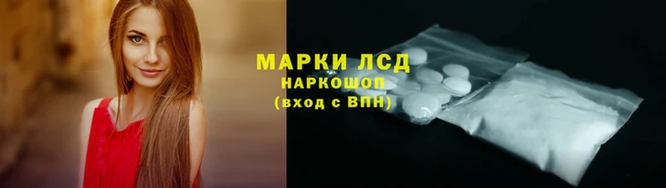 стафф Алексин