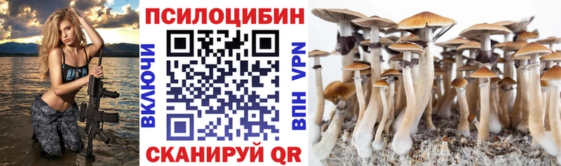 Галлюциногенные грибы GOLDEN TEACHER Адыгейск